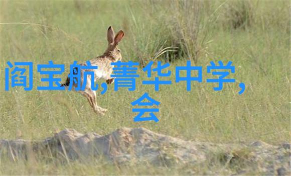 蚕丝光棉文化衫定制短袖工作服定做广告衫企业LOGO刺绣工衣