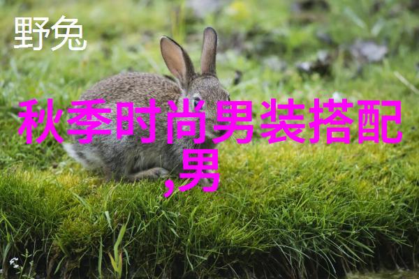 依文 春日正暖 没有衬衫怎么型 nbsp