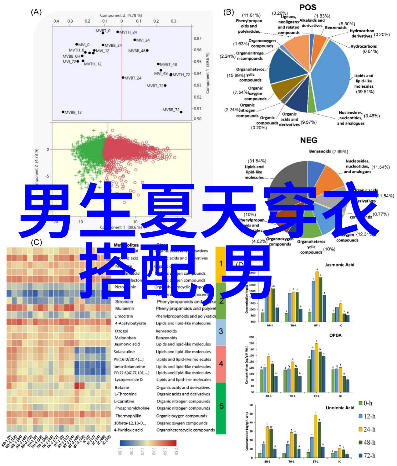 圣得西男装 加分攻略 面面俱到 公务男士穿搭法则 nbsp